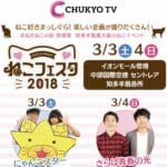 中京テレビ「ねこフェスタ2018」 TeyneyFelt期間限定出店 のお知らせ