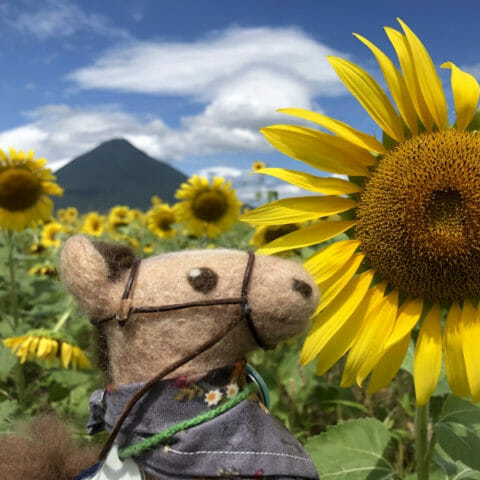 Vol.20 作家紹介26<br>〈 まあや 〉さん