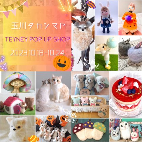 10/18-24 玉川タカシマヤ5F TEYNEY POP UP SHOP!